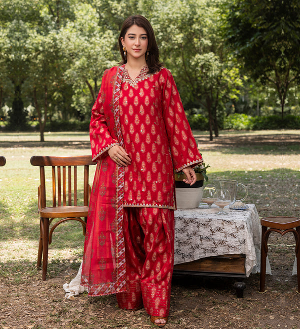 NAZNEEN - ZP-05 - RED