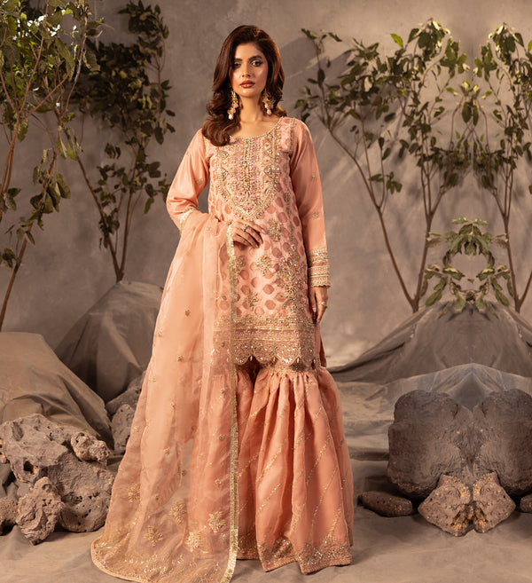 SHAHNOOR - US-493 - PEACH